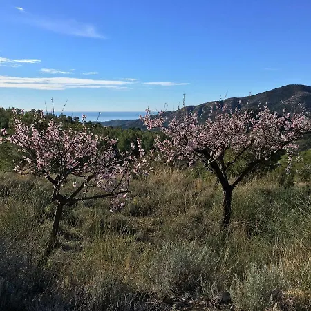 Luxuszelt La Yurta Naranja *