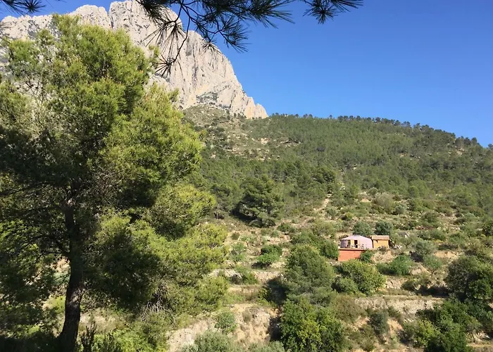 La Yurta Naranja *