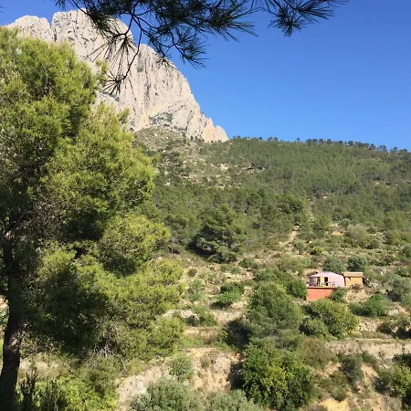 La Yurta Naranja *